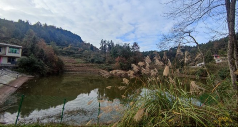 水库运行管理平台